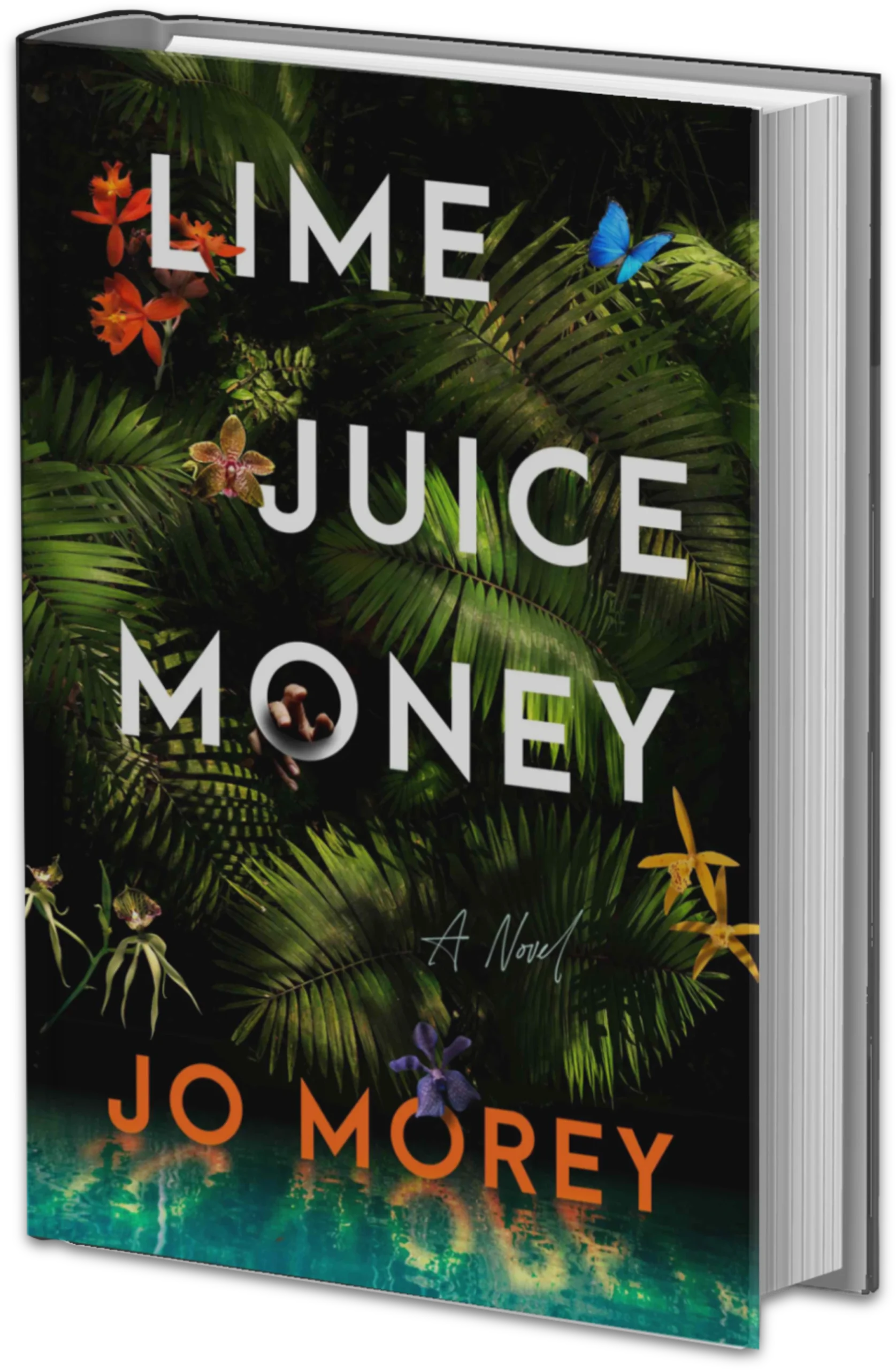 Lime Juice Money Novel