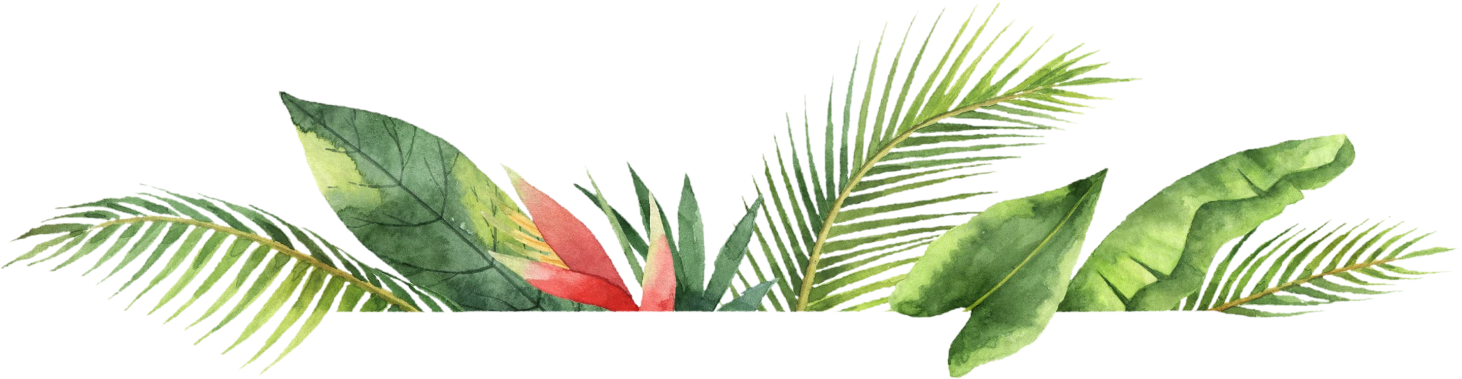 foliage
