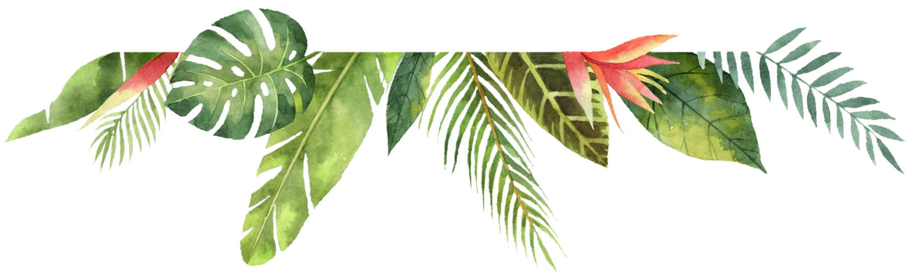 foliage