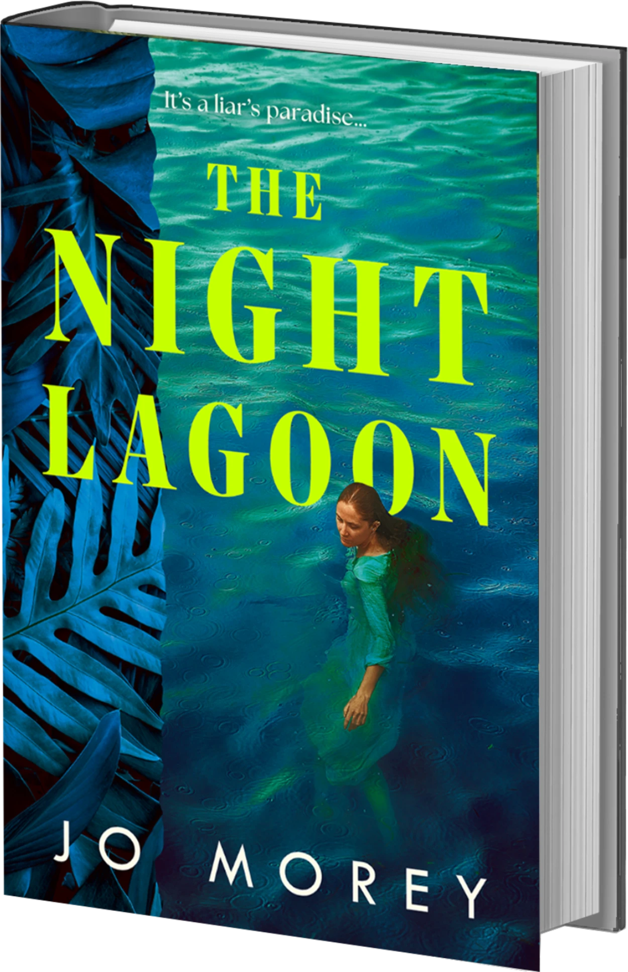 The Night Lagoon Book