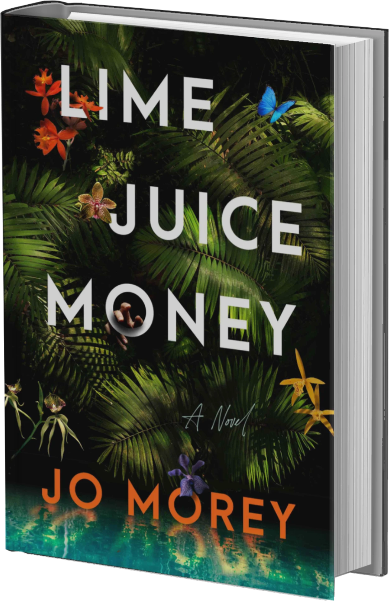 Lime Juice Money Book